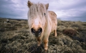 © Unsplash