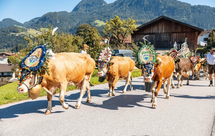 Reither Bauernmarkt - © Alpbachtal Tourismus