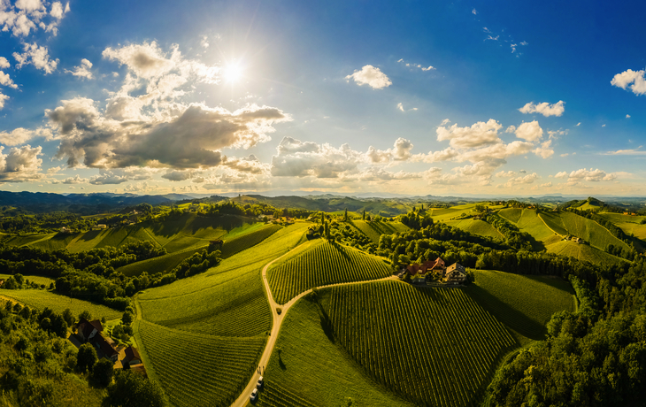 Luftbildpanorama der Weinberge in der Südsteiermark