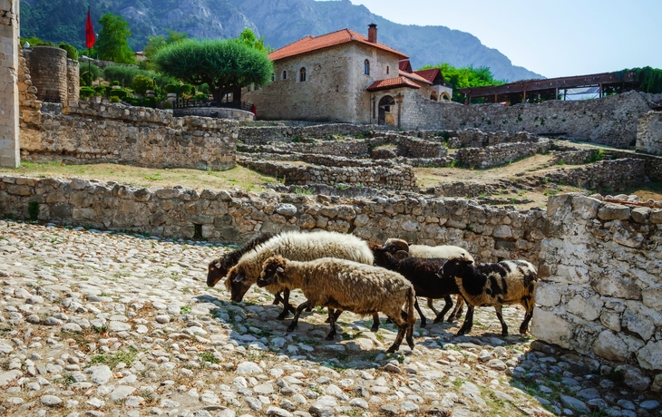© Olena Zn/Shutterstock