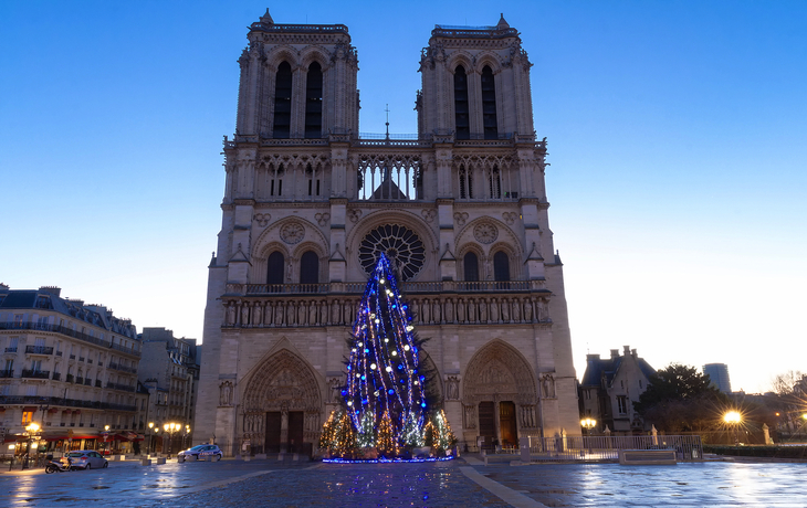 © Markus Mainka/Shutterstock