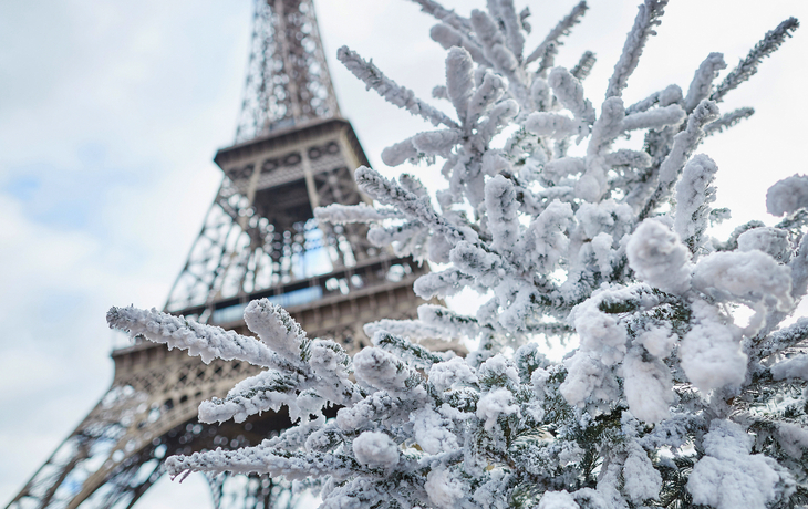 © Markus Mainka/Shutterstock