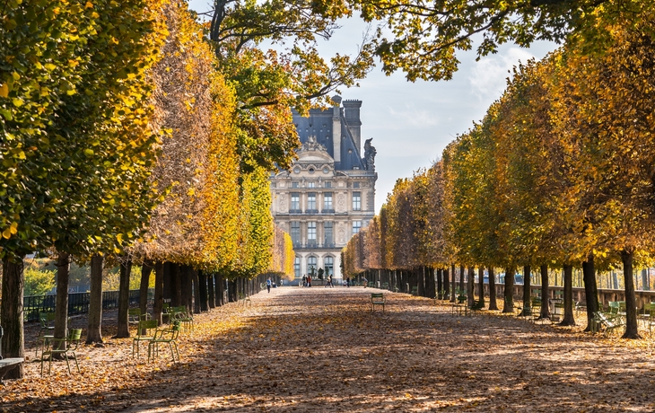 © Markus Mainka/Shutterstock