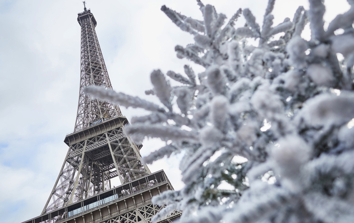 © Markus Mainka/Shutterstock