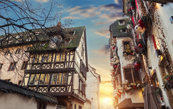 © Markus Mainka/Shutterstock