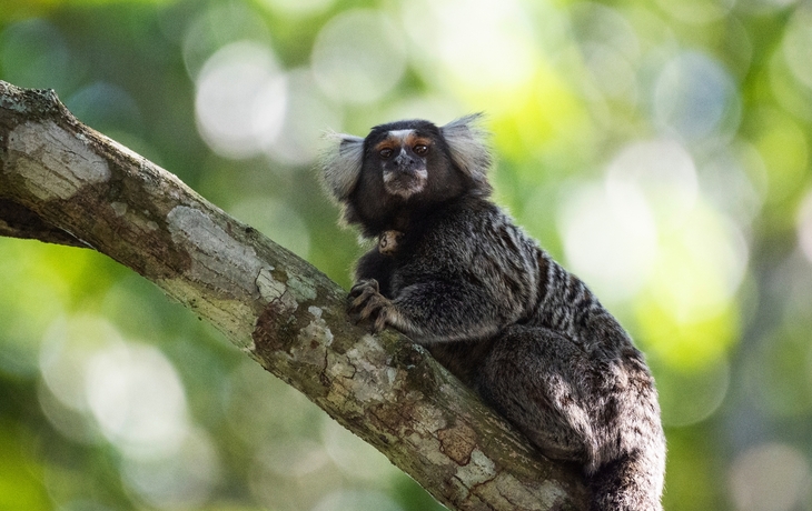 © Lukas Kovarik/Shutterstock