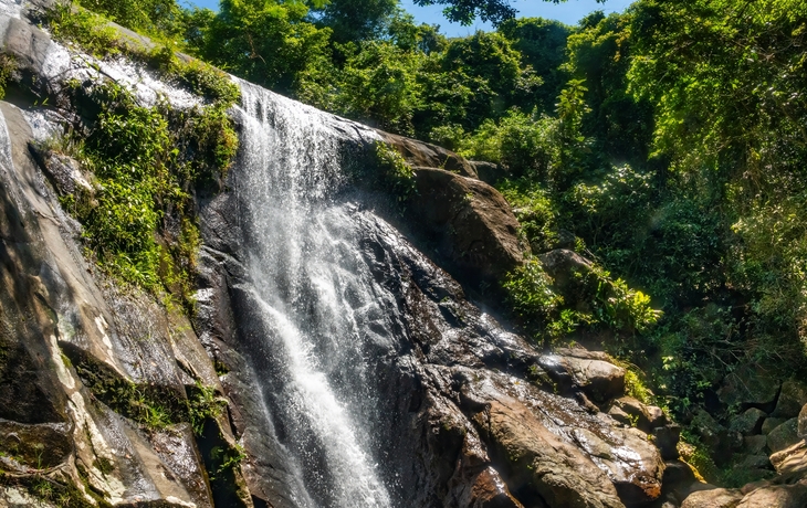 © Lukas Kovarik/Shutterstock