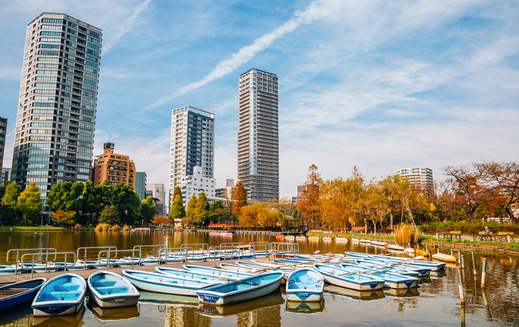 © Caito/Shutterstock