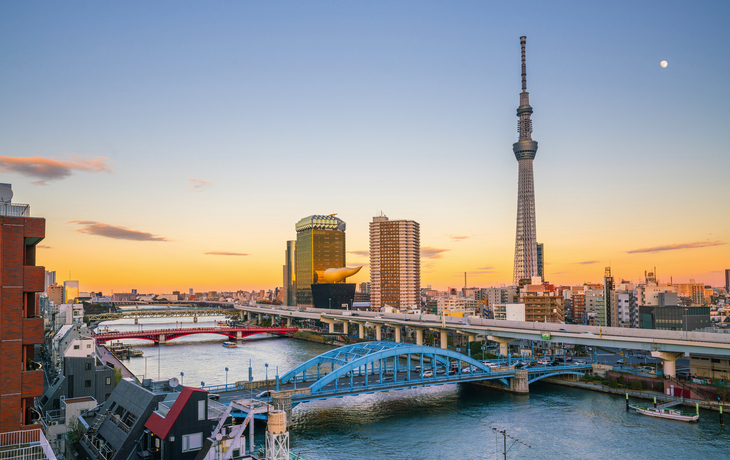 © Caito/Shutterstock