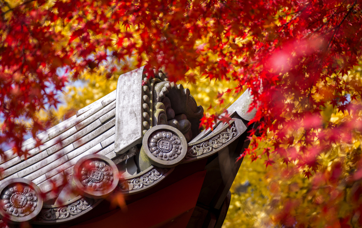 © Caito/Shutterstock