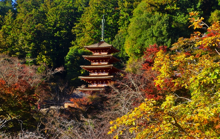 © Omjai C/Shutterstock