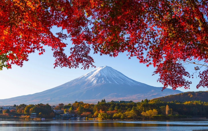 © Omjai C/Shutterstock