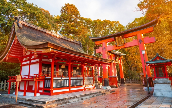 © sasazawa/Shutterstock