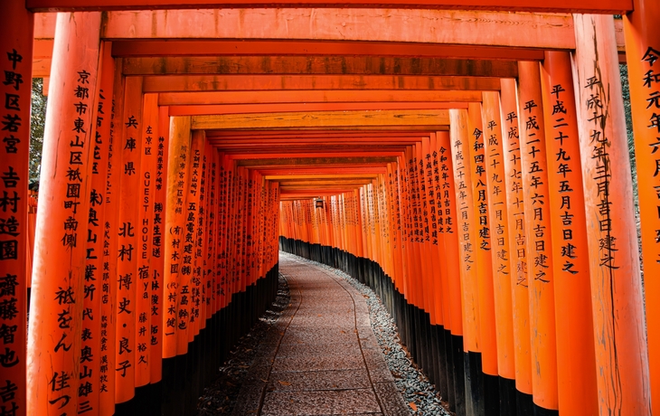 © sasazawa/Shutterstock