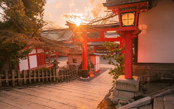 © sasazawa/Shutterstock