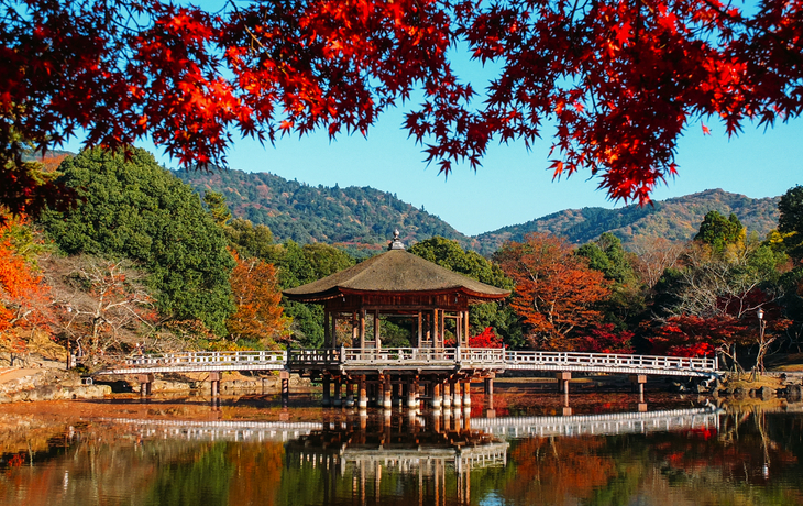 © tvcuong8892/Shutterstock