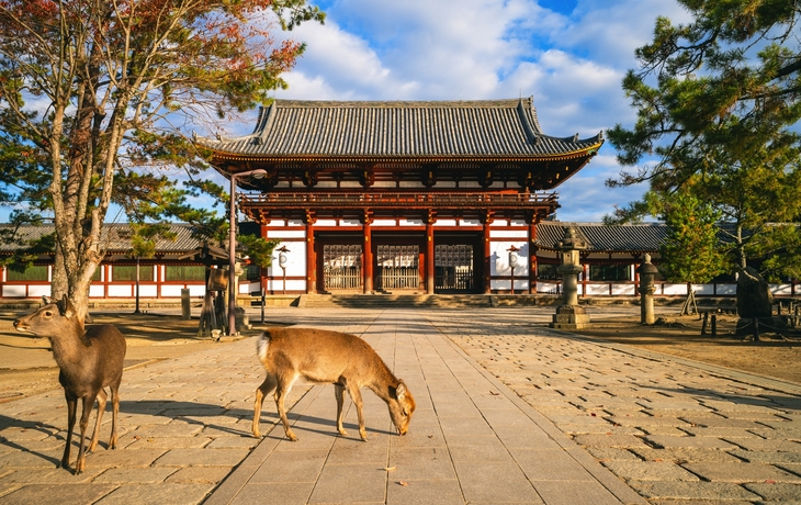 © tvcuong8892/Shutterstock