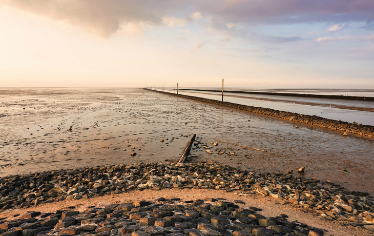 © PRILL/Shutterstock