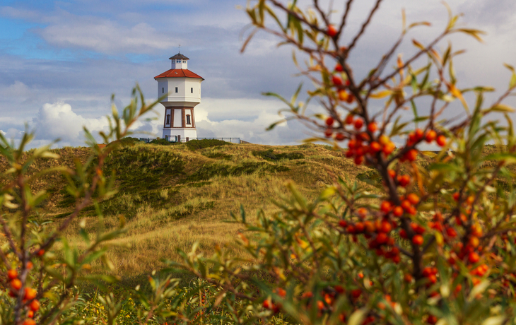 © K I Photography/Shutterstock