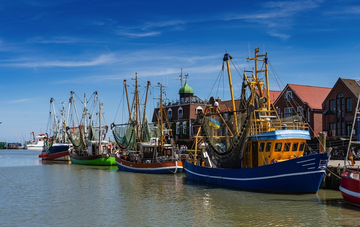 © Majonit/Shutterstock