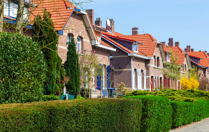 © Christian Mueller/Shutterstock