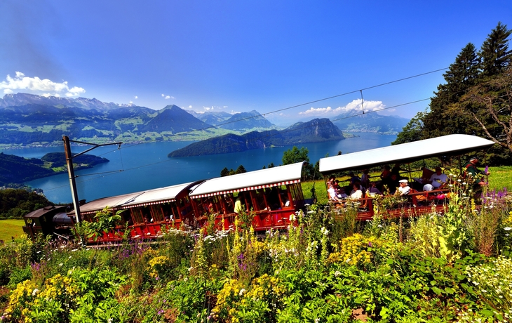Bergbahn fährt durch blühende Wiese mit Seeblick und Bergen im Hintergrund. - © suteracher - stock.adobe.com