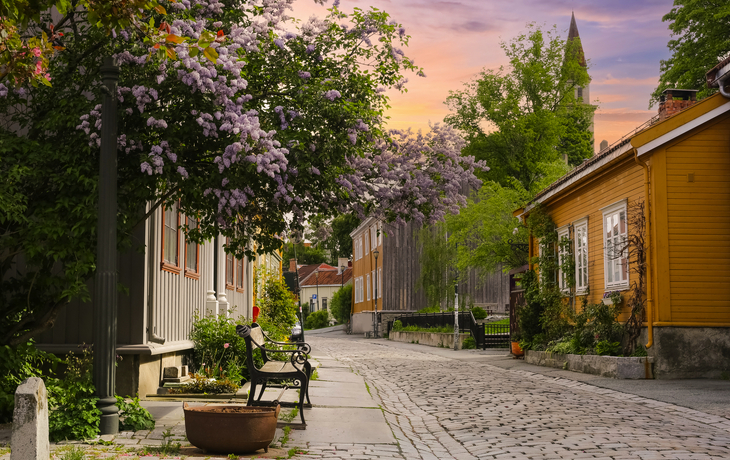 Bunte Häuser entlang des Trondheimer Fjords in Trondheim, Norwegen, unter klarem blauem Himmel. - © Piotr Krzeslak - stock.adobe.com