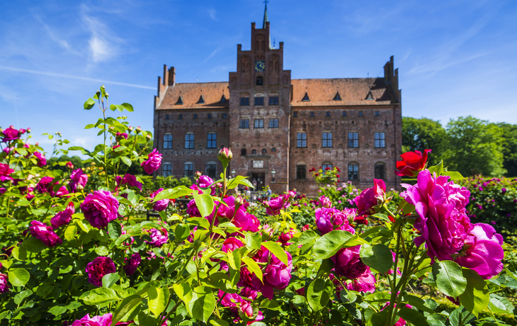 Rotes Backsteingebäude hinter blühenden Rosen im Vordergrund. - ©Michael Runkel/Danita Delimont - stock.adobe.com