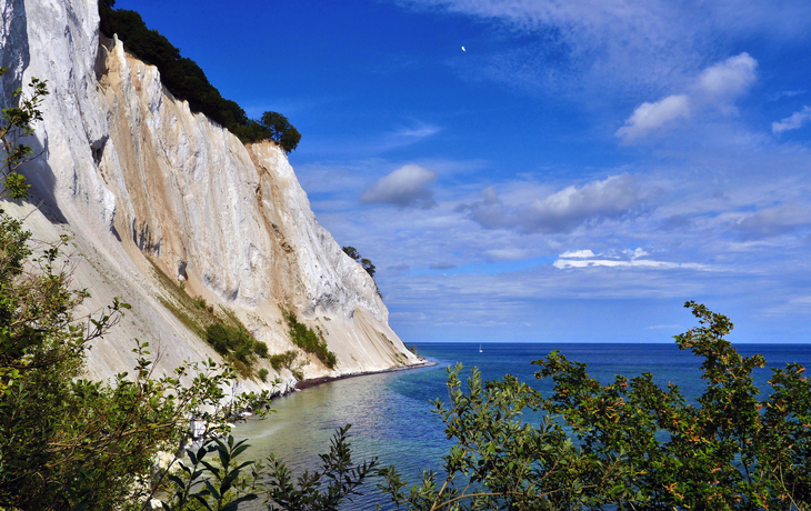 Kreidefelsen über blau-türkisfarbenem Meer mit grüner Vegetation. - © bill_17 - Fotolia