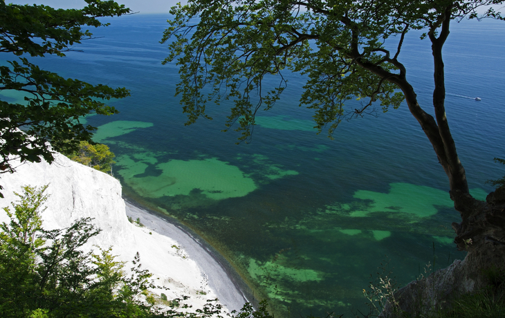Kreidefelsen über blau-türkisfarbenem Meer mit grüner Vegetation. - © bill_17 - Fotolia