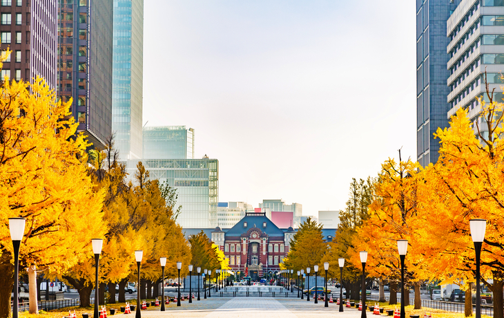 © kitzcorner/Shutterstock