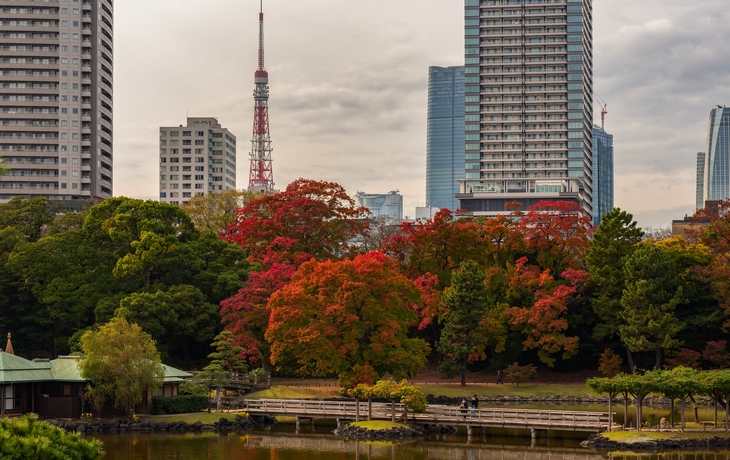 © kitzcorner/Shutterstock