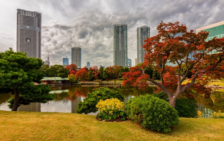 © kitzcorner/Shutterstock