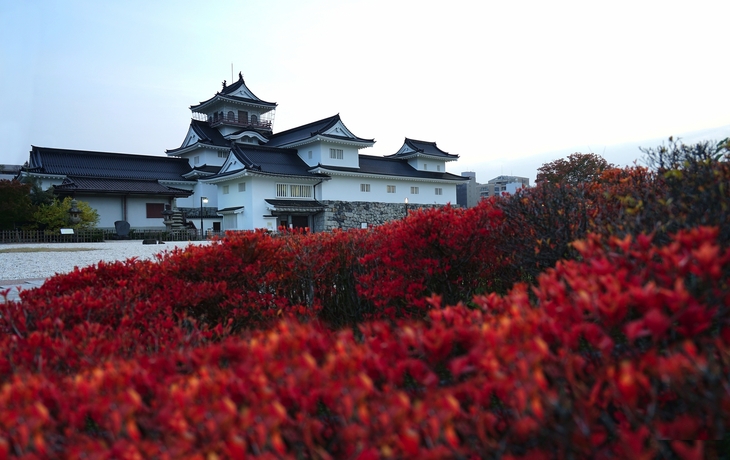 © Maeda Akihiko/Wikimedia Commons CC BY 4.0