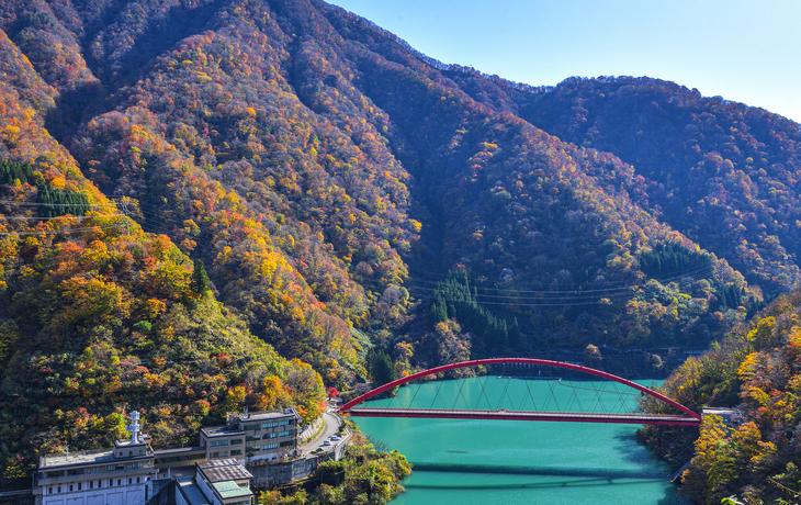 © haru-sz/Shutterstock