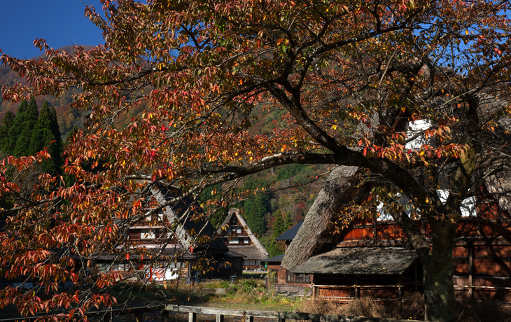© Toyama Tourism Organization