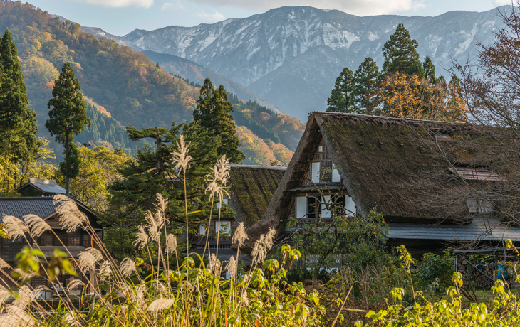 © Toyama Tourism Organization