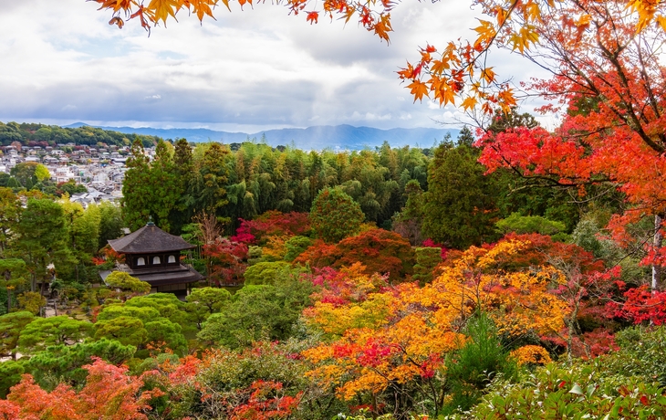 © Noppasin Wongchum/Shutterstock