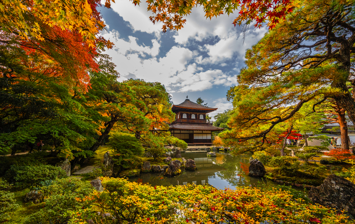 © Noppasin Wongchum/Shutterstock