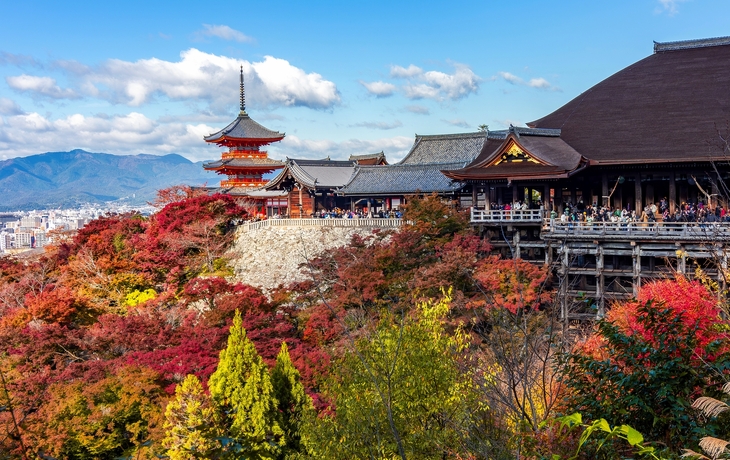 © Noppasin Wongchum/Shutterstock