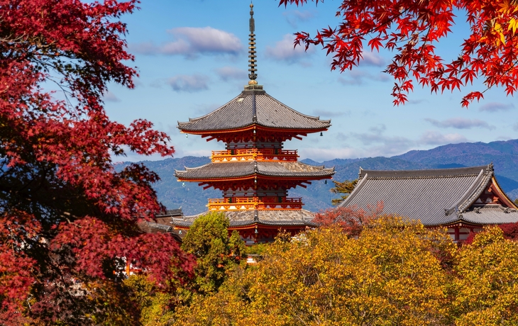 © Noppasin Wongchum/Shutterstock