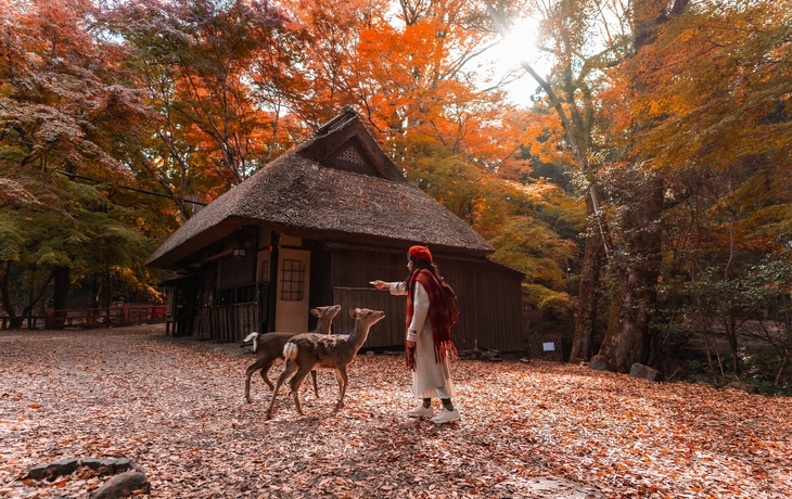 © Pinglabel/Shutterstock