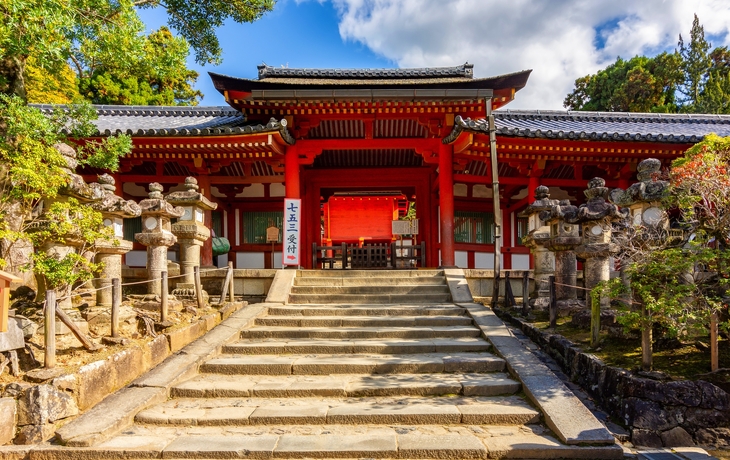 © Pinglabel/Shutterstock