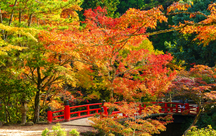 © WorldWide/Shutterstock
