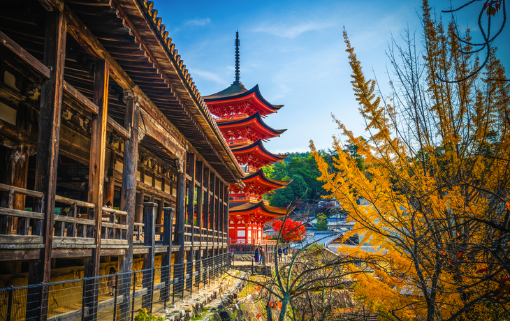 © WorldWide/Shutterstock