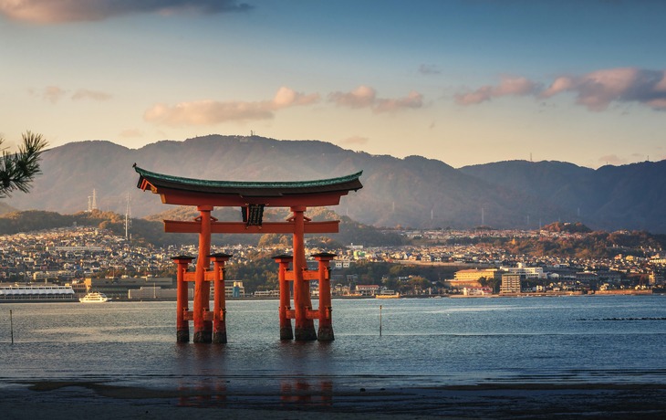 © WorldWide/Shutterstock