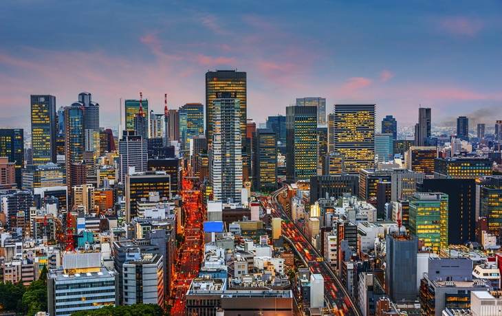 © Takeshi Kuboki/Wikimedia Commons CC BY 4.0