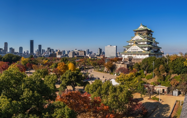 © Takeshi Kuboki/Wikimedia Commons CC BY 4.0