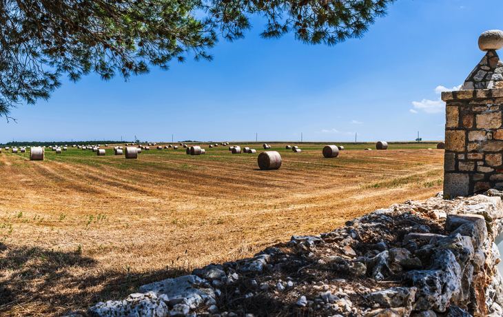 © Nicola Simeoni/Shutterstock