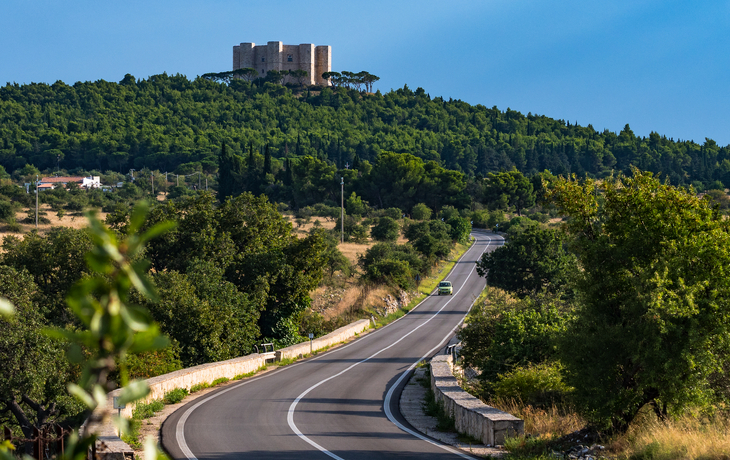 © Stefano Tammaro/Shutterstock